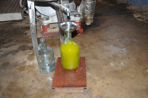 oil