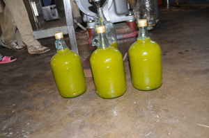 oil